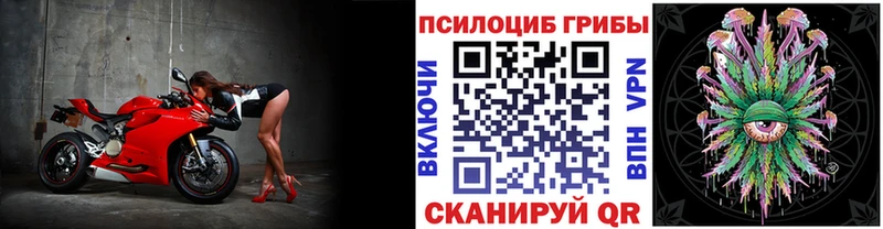 Псилоцибиновые грибы прущие грибы  продажа наркотиков  Лысково 